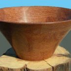 Evans Lacewood